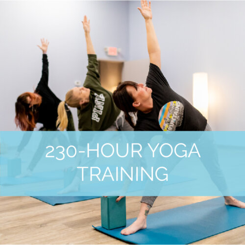 230-HOUR YOGA TEACHER TRAINING